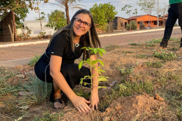 Prefeitura de Itacajá realiza ações em alusão ao Dia da Árvore