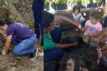Meio Ambiente em ação: Itacajá realiza Dias de Campo com foco na preservação