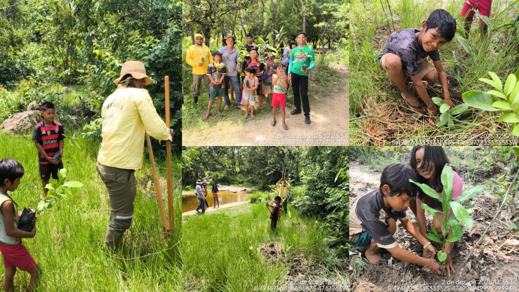 Prefeitura de Itacajá realiza plantio de mudas como ação de educação ambiental na Aldeia Buritizal